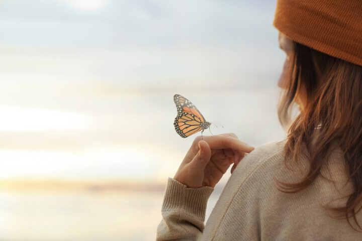 オレンジ色の蝶「新しい出会いの訪れ」
