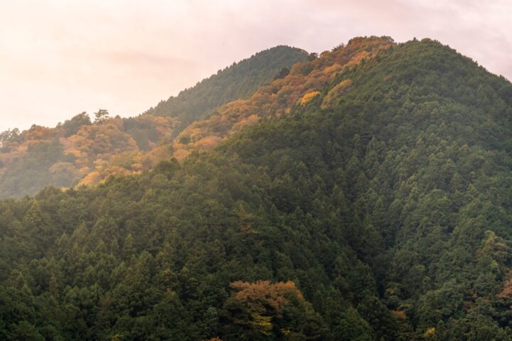 奈良県の大神神社（三輪山）が最強？どんなご利益がある？