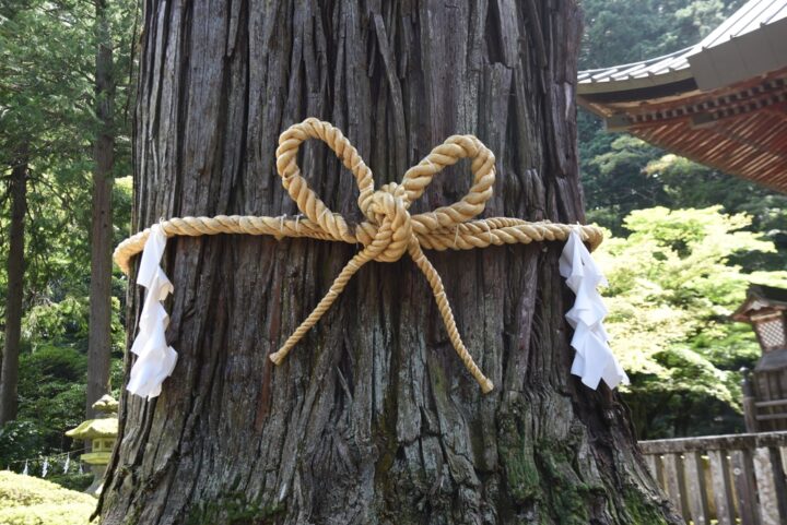 三峯神社にある縁結びの木の効果を紹介