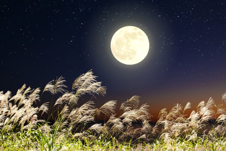月光冠や月暈を見られる可能性のある日