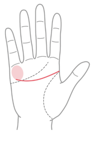 左手にある知能線・頭脳線の悪い手相