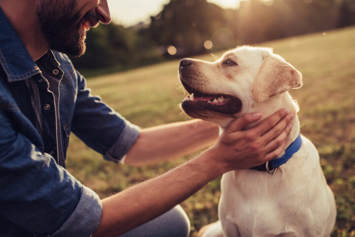 亡くなった愛犬はしばらく飼い主のそばにいる