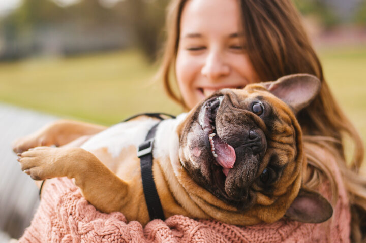 夢占いで亡くなったペットを撫でる意味は？犬や猫など亡くなったペットの夢の意味を解説